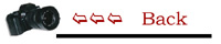 Arn -  Arn 3